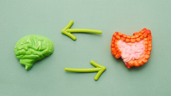 Can Fibre Affect Your Mood? How the Gut-Brain Axis Works