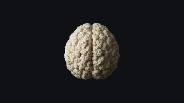 Fibre as a Psychobiotic? What Does This Mean?