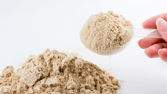 Inulin vs PHGG vs Psyllium: Which Fibre Is the Best?