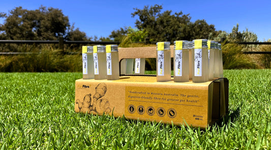 Ginger Tonic (20 shots)