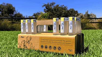 Ginger Tonic (20 shots)